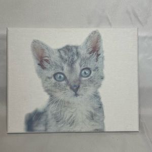 “Kitten” canvas